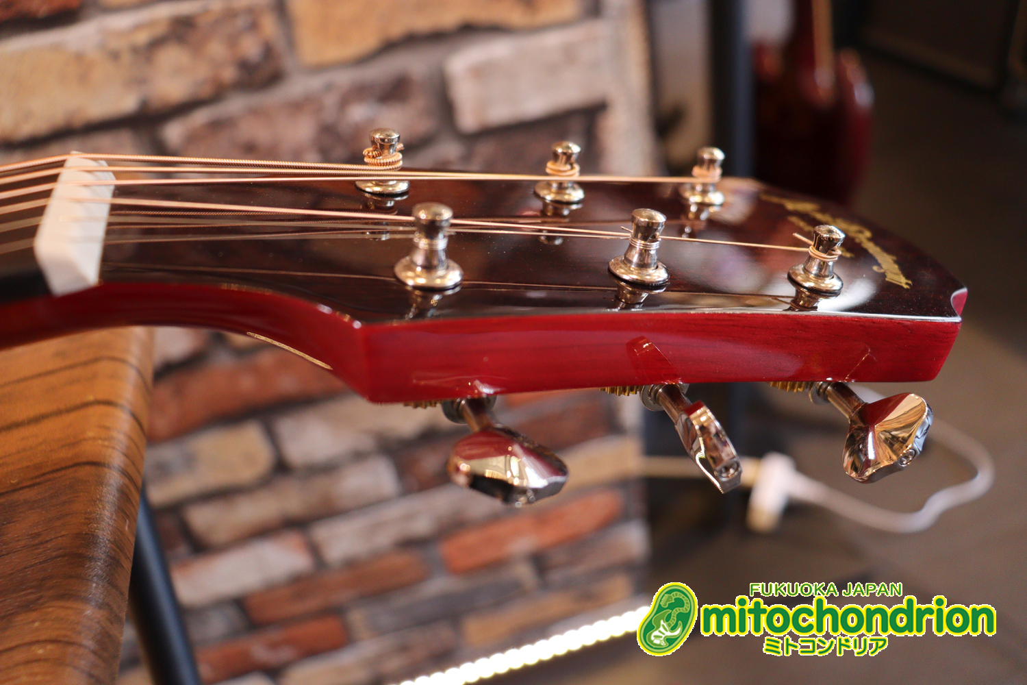 これから始めるプレイヤーにもお勧め！チューニングメーターも搭載！