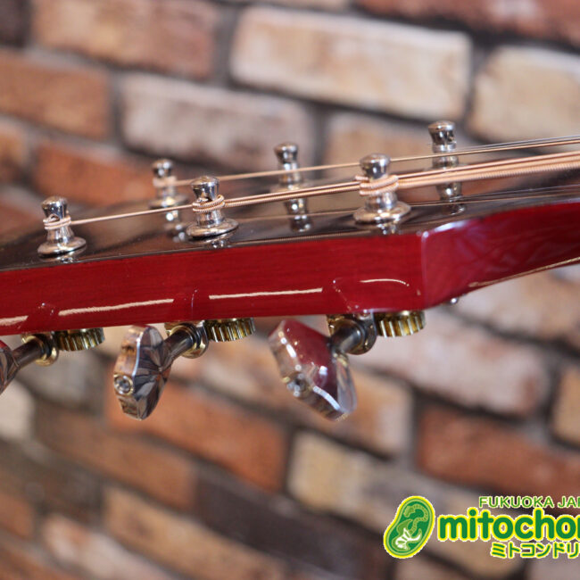 これから始めるプレイヤーにもお勧め！チューニングメーターも搭載！