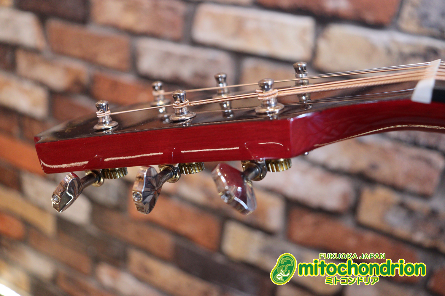 これから始めるプレイヤーにもお勧め！チューニングメーターも搭載！