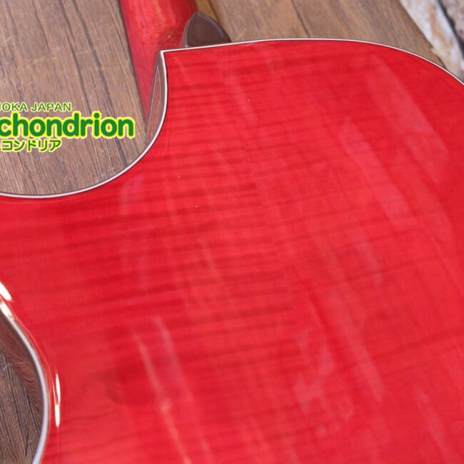 これから始めるプレイヤーにもお勧め！チューニングメーターも搭載！