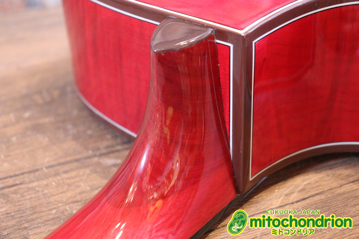 これから始めるプレイヤーにもお勧め！チューニングメーターも搭載！