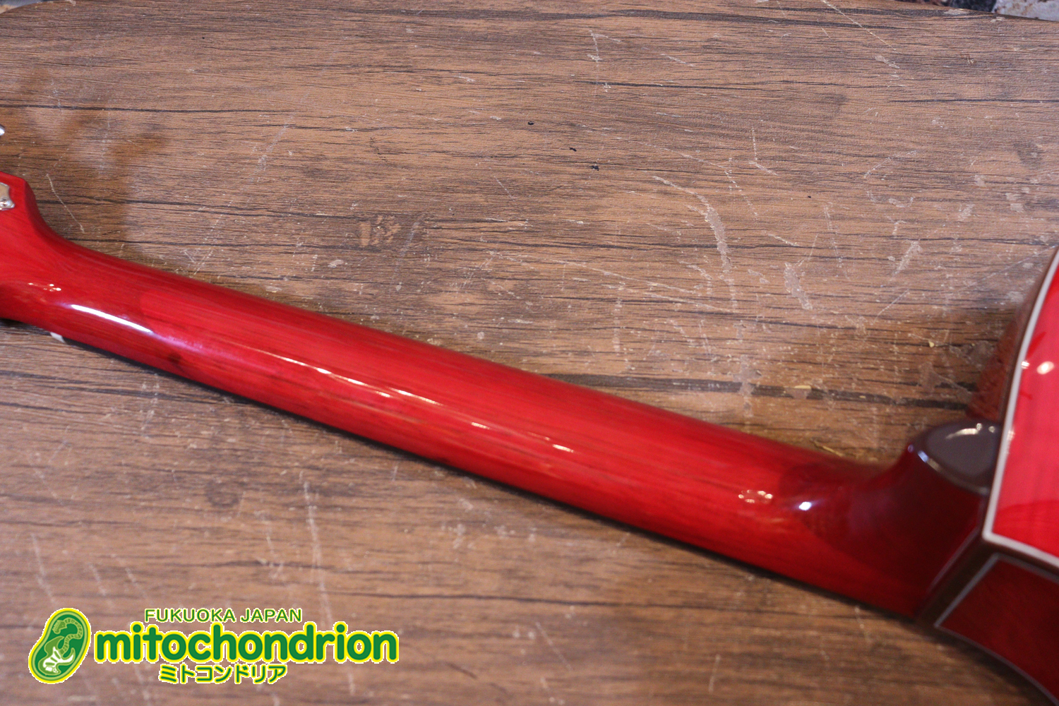 これから始めるプレイヤーにもお勧め！チューニングメーターも搭載！