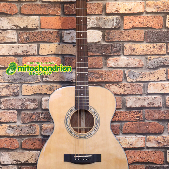 これから始めるプレイヤーにもお勧め！トップ材は単板です。クリップチューナー付き！2