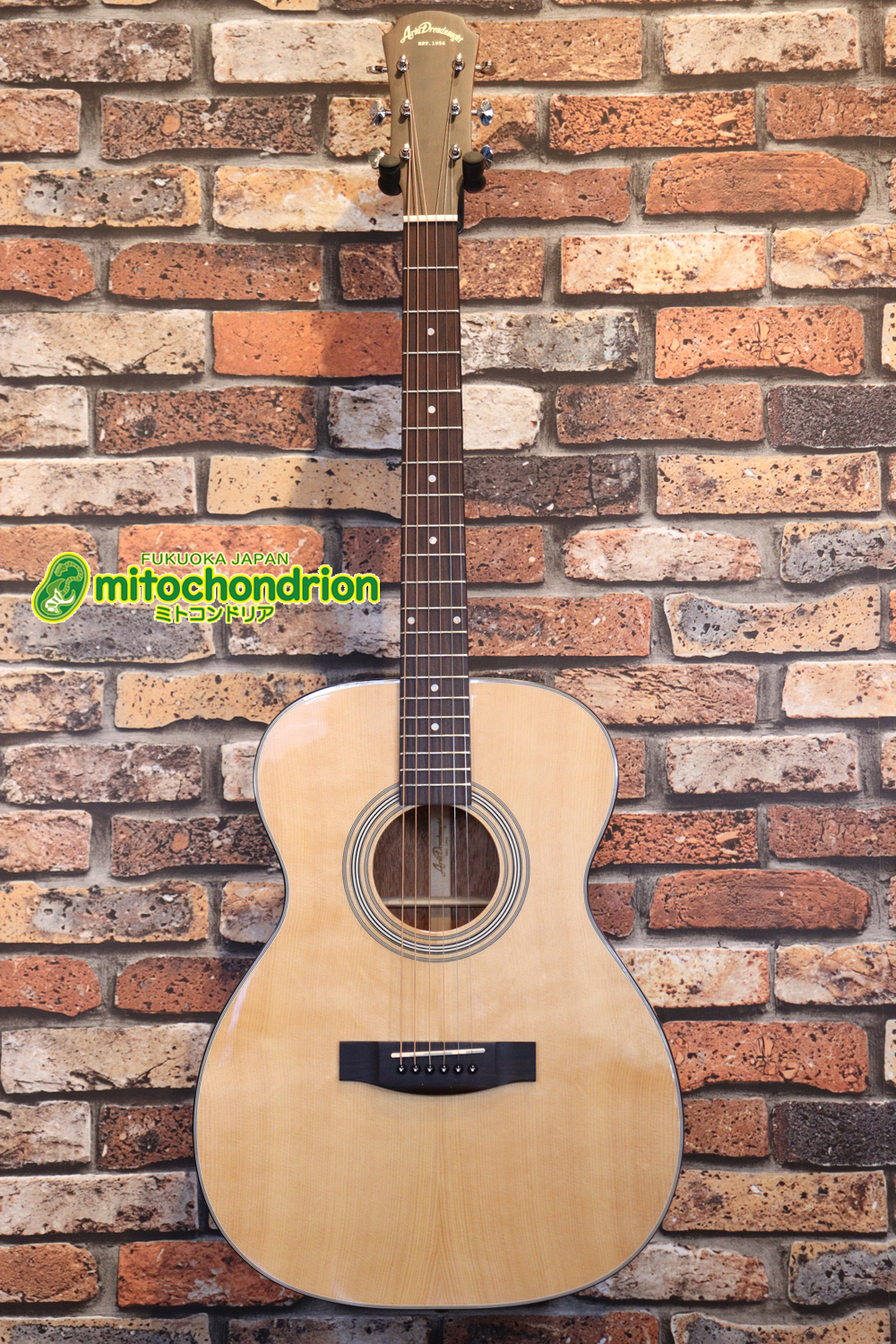 これから始めるプレイヤーにもお勧め！トップ材は単板です。クリップチューナー付き！2