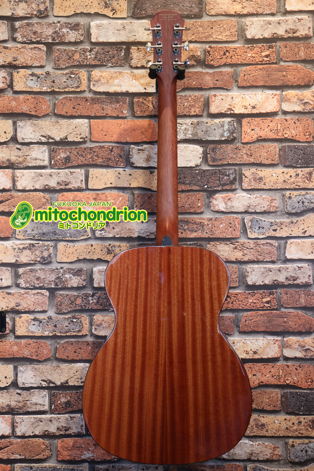 これから始めるプレイヤーにもお勧め！トップ材は単板です。クリップチューナー付き！2