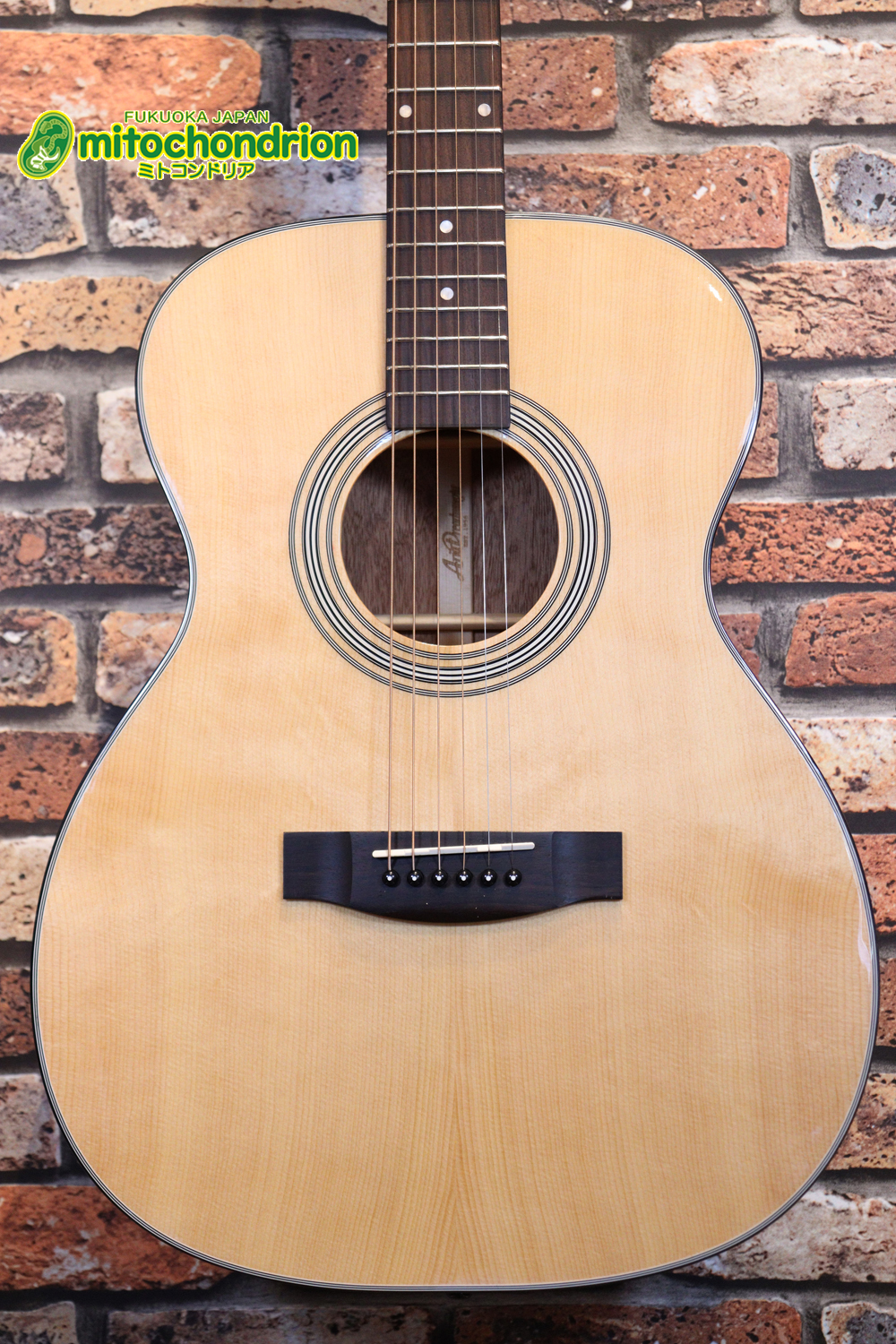 これから始めるプレイヤーにもお勧め！トップ材は単板です。クリップチューナー付き！2