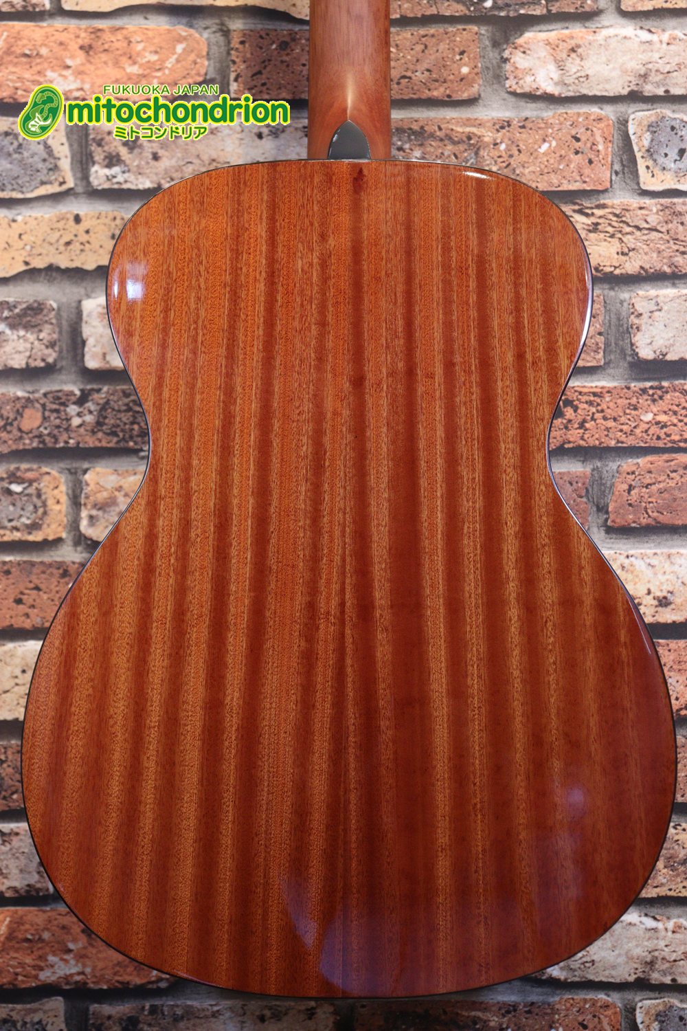 これから始めるプレイヤーにもお勧め！トップ材は単板です。クリップチューナー付き！2