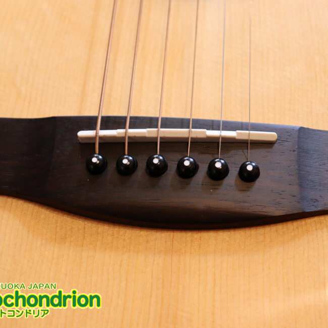 これから始めるプレイヤーにもお勧め！トップ材は単板です。クリップチューナー付き！2