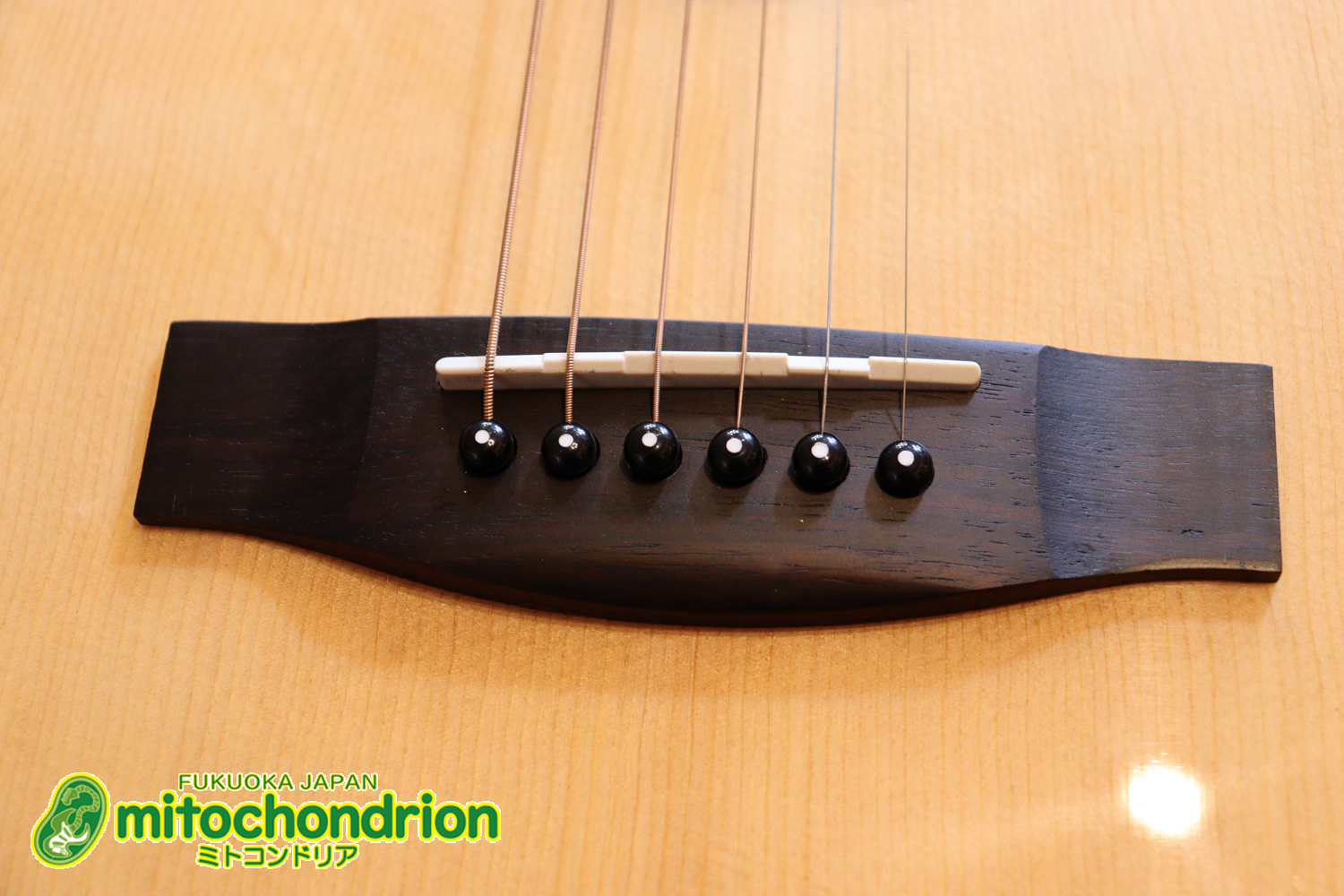 これから始めるプレイヤーにもお勧め！トップ材は単板です。クリップチューナー付き！2