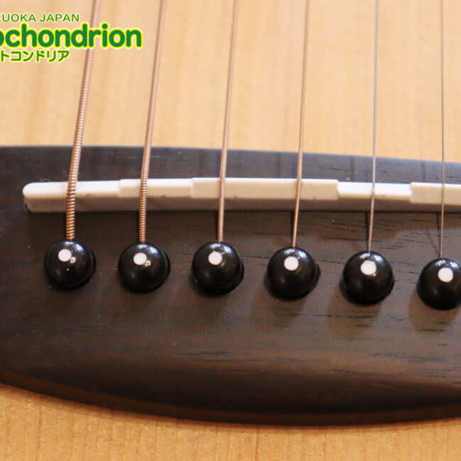 これから始めるプレイヤーにもお勧め！トップ材は単板です。クリップチューナー付き！2