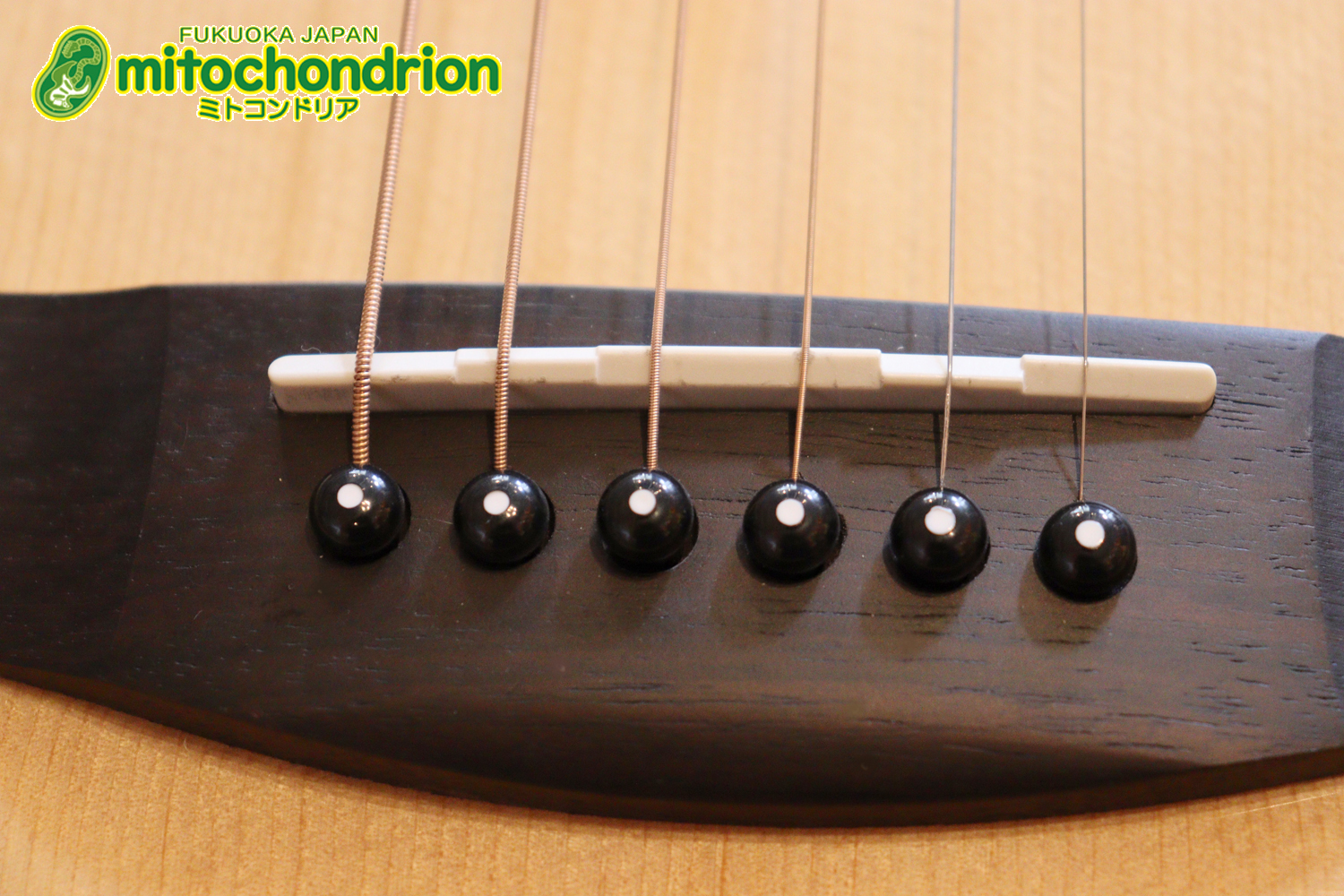 これから始めるプレイヤーにもお勧め！トップ材は単板です。クリップチューナー付き！2