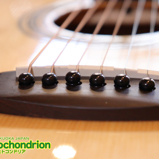 これから始めるプレイヤーにもお勧め！トップ材は単板です。クリップチューナー付き！2