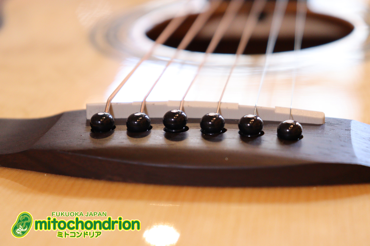 これから始めるプレイヤーにもお勧め！トップ材は単板です。クリップチューナー付き！2