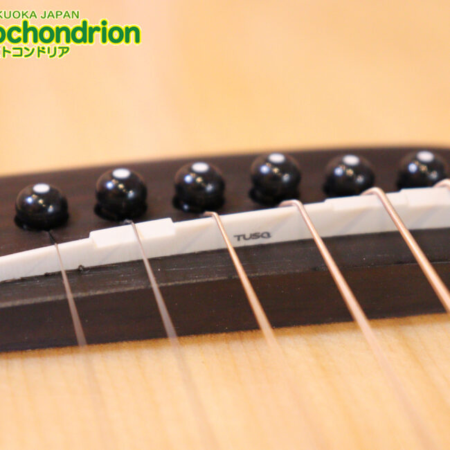 これから始めるプレイヤーにもお勧め！トップ材は単板です。クリップチューナー付き！2