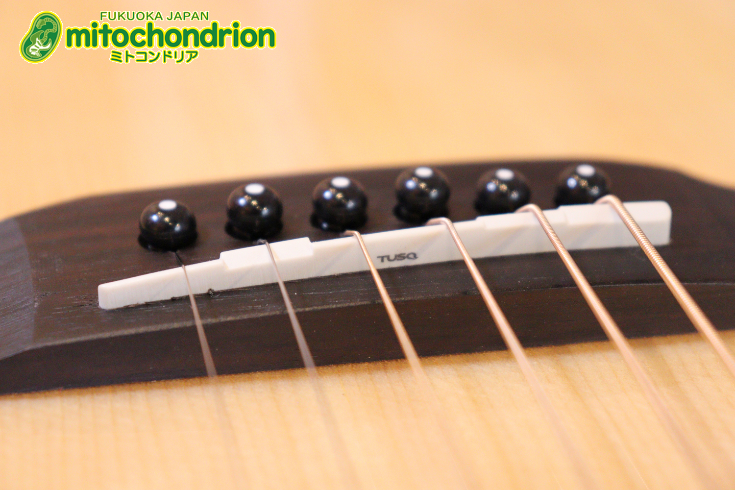 これから始めるプレイヤーにもお勧め！トップ材は単板です。クリップチューナー付き！2