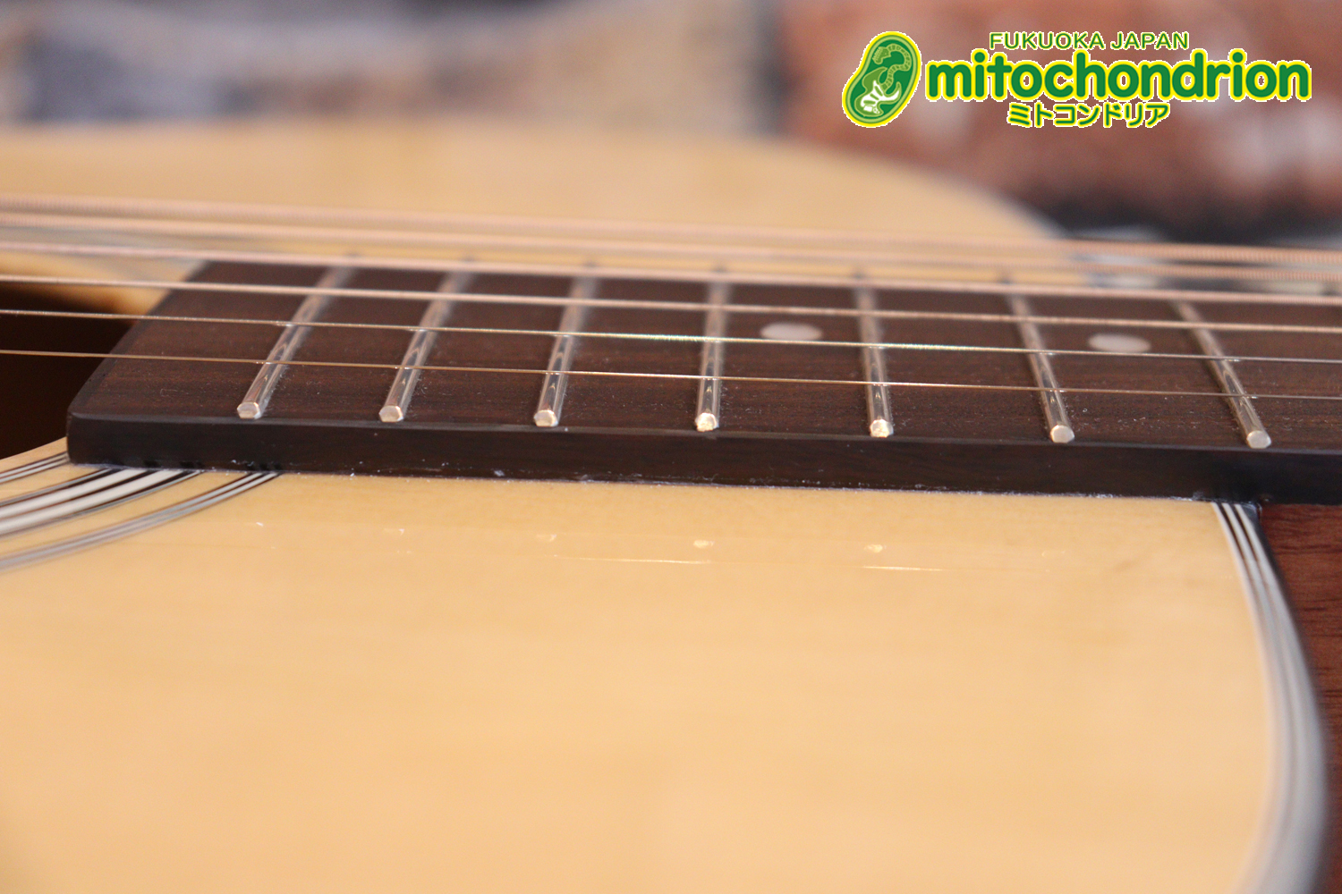 これから始めるプレイヤーにもお勧め！トップ材は単板です。クリップチューナー付き！2