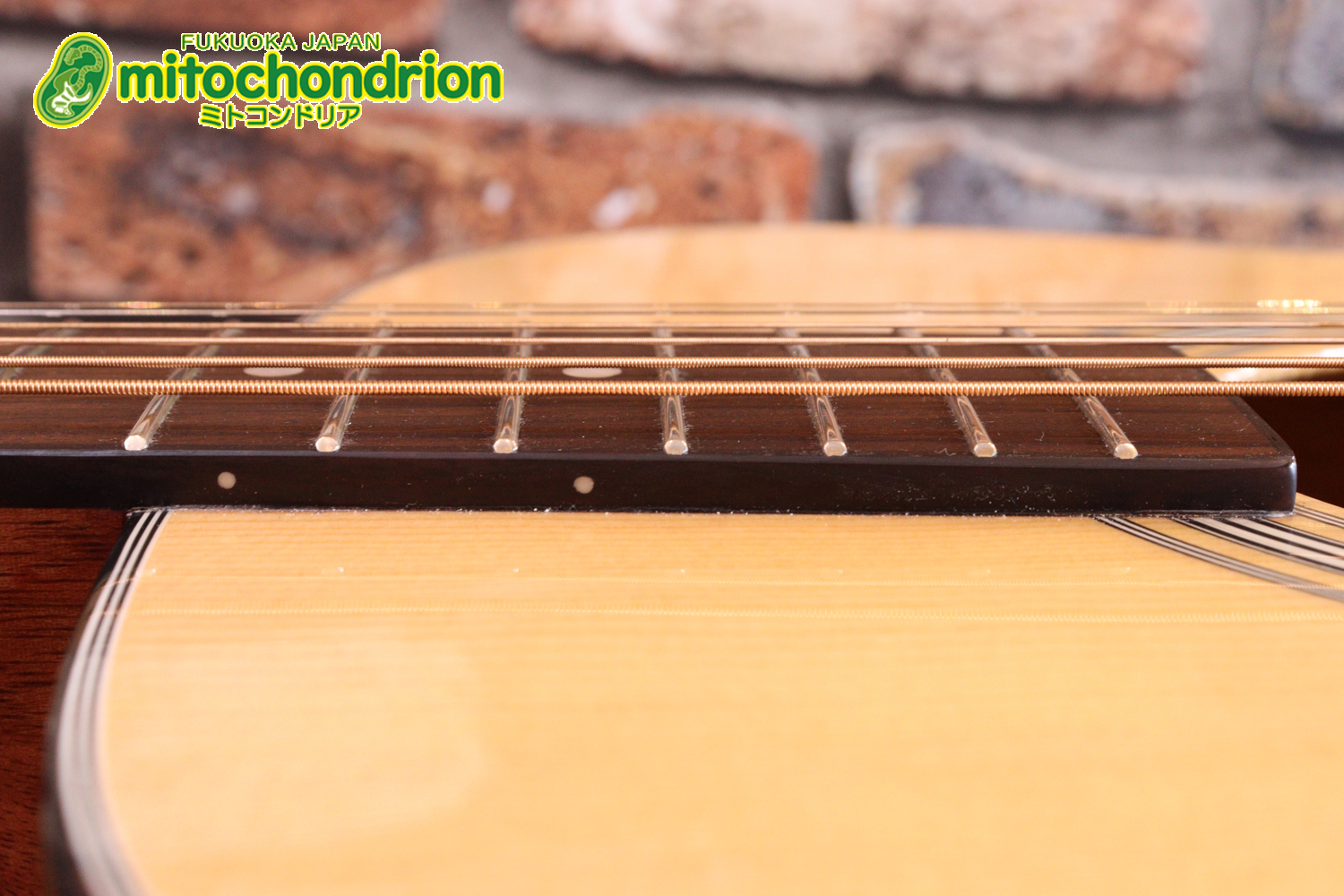 これから始めるプレイヤーにもお勧め！トップ材は単板です。クリップチューナー付き！2