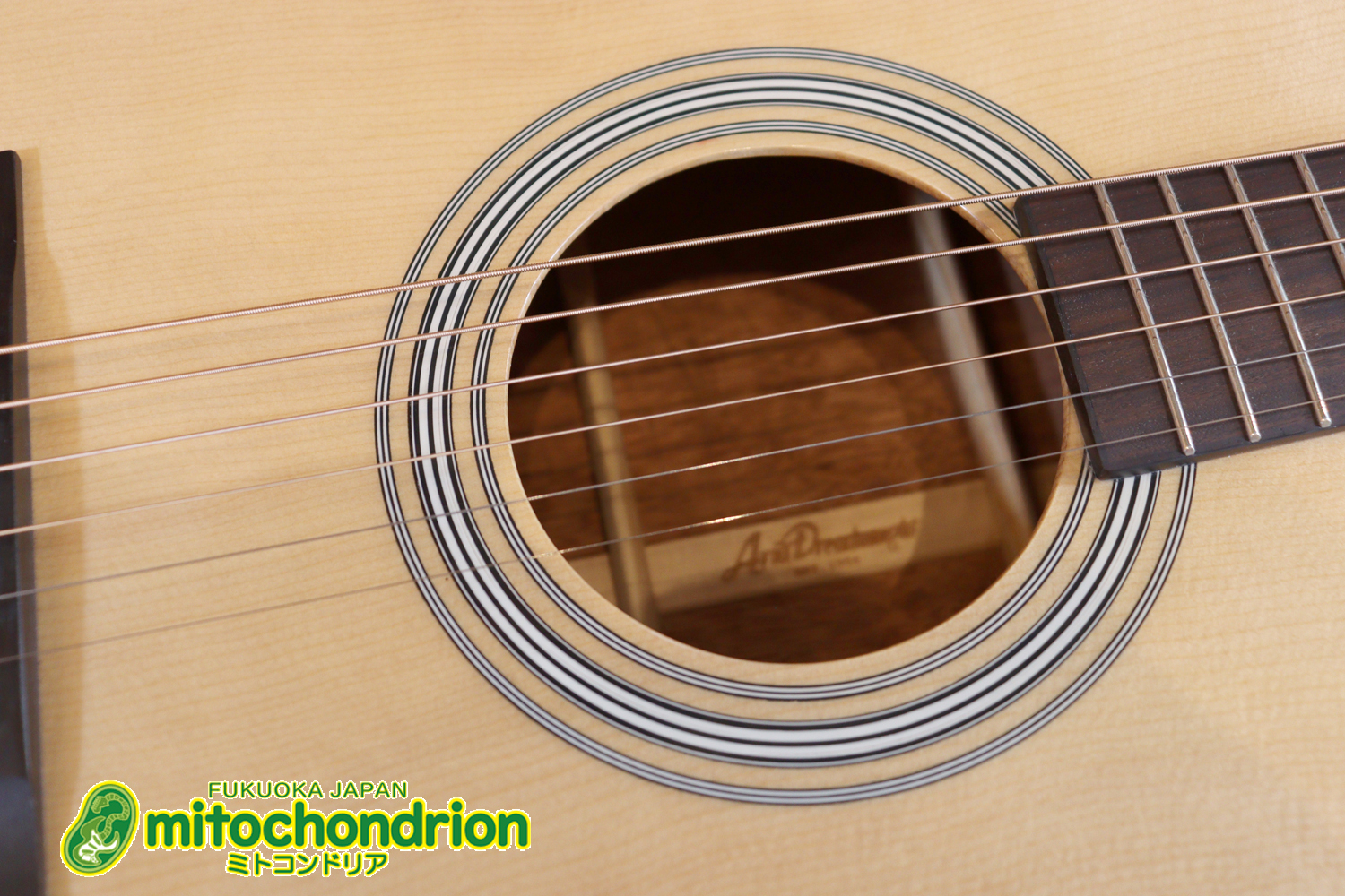 これから始めるプレイヤーにもお勧め！トップ材は単板です。クリップチューナー付き！2