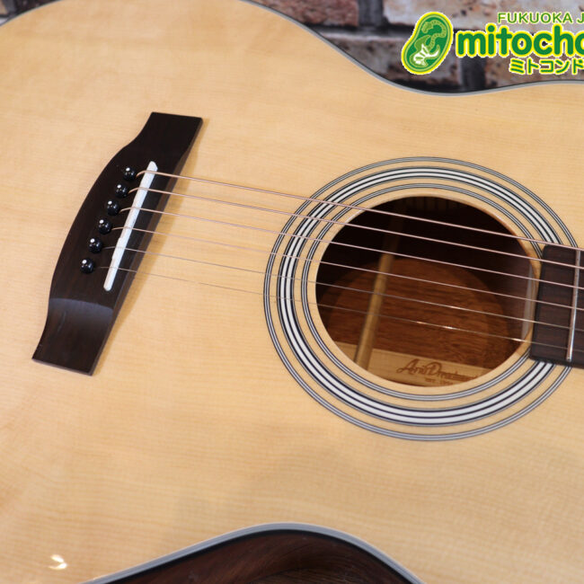 これから始めるプレイヤーにもお勧め！トップ材は単板です。クリップチューナー付き！2