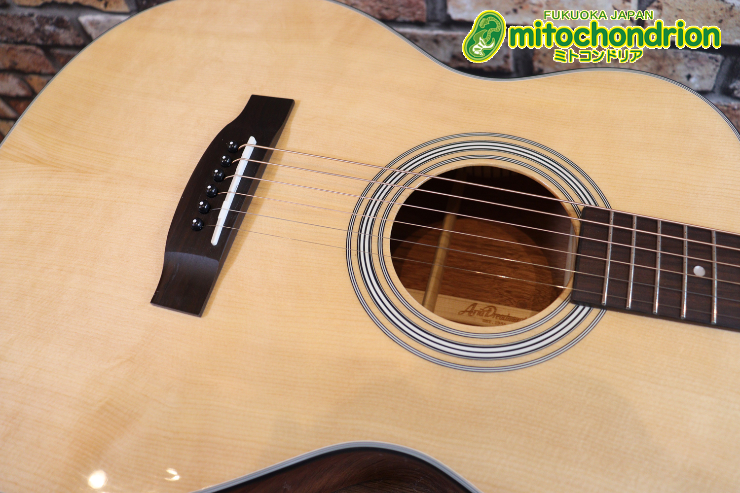 これから始めるプレイヤーにもお勧め！トップ材は単板です。クリップチューナー付き！2