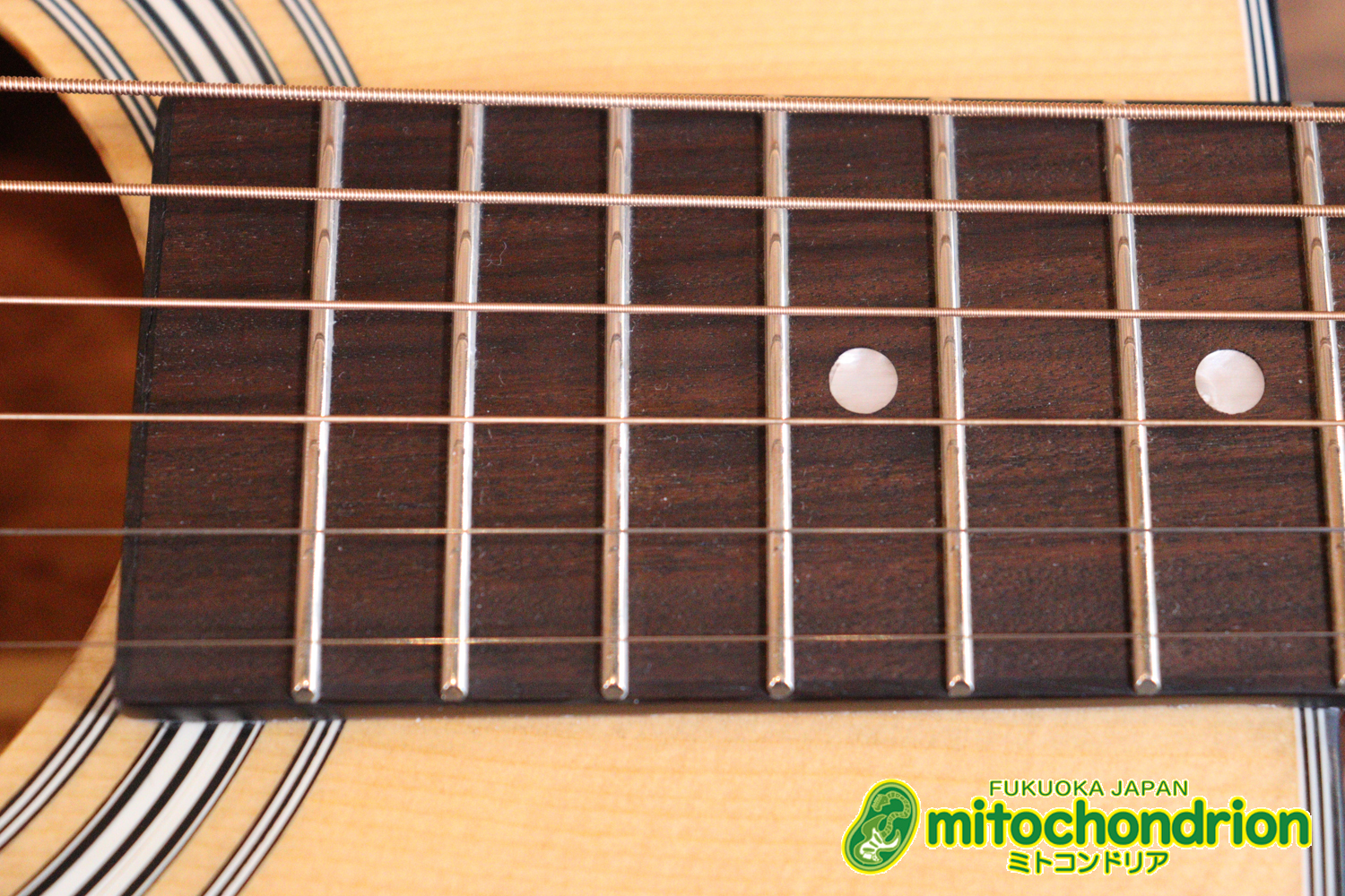 これから始めるプレイヤーにもお勧め！トップ材は単板です。クリップチューナー付き！2