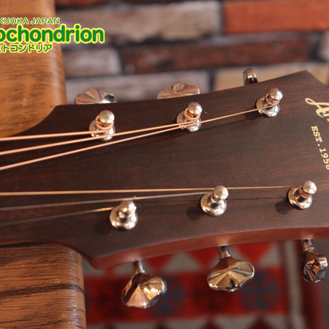 これから始めるプレイヤーにもお勧め！トップ材は単板です。クリップチューナー付き！2