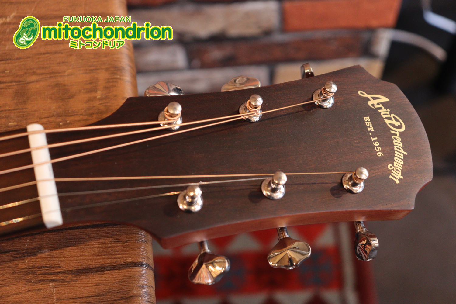 これから始めるプレイヤーにもお勧め！トップ材は単板です。クリップチューナー付き！2