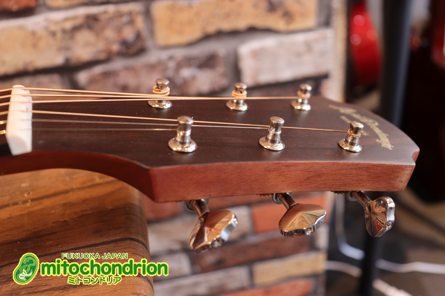 これから始めるプレイヤーにもお勧め！トップ材は単板です。クリップチューナー付き！2