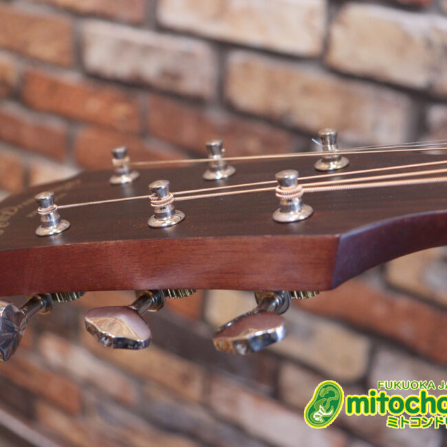 これから始めるプレイヤーにもお勧め！トップ材は単板です。クリップチューナー付き！2