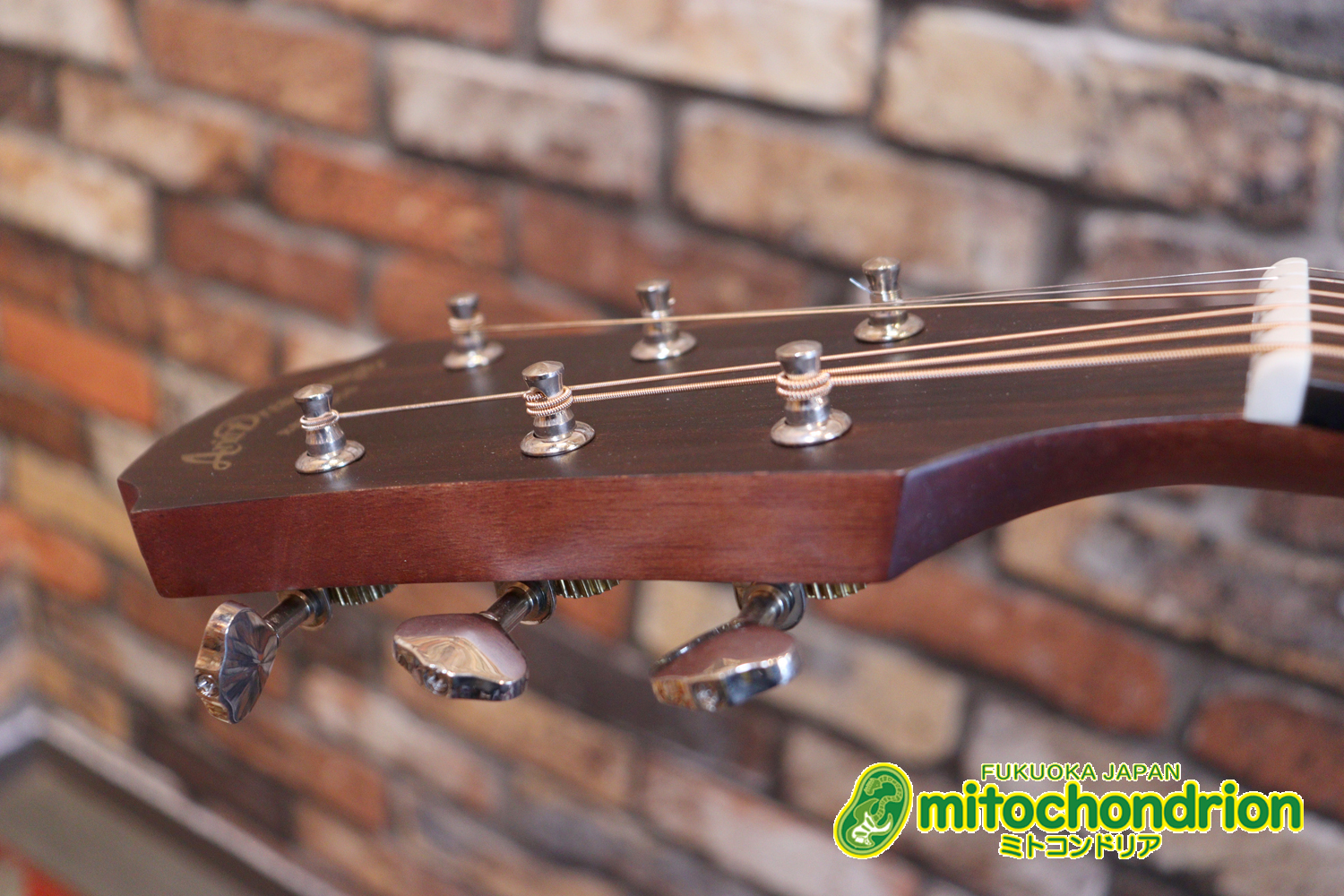 これから始めるプレイヤーにもお勧め！トップ材は単板です。クリップチューナー付き！2