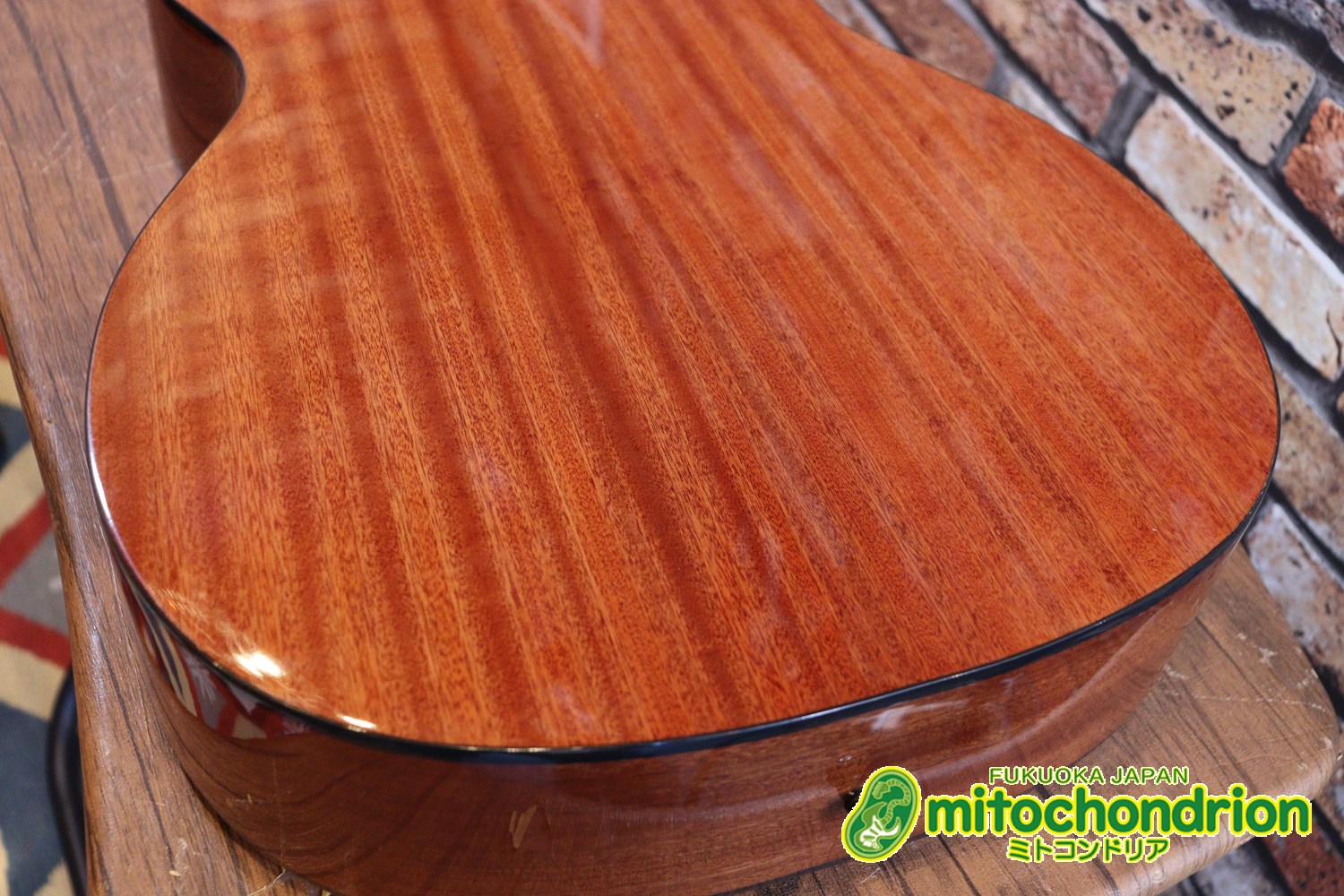 これから始めるプレイヤーにもお勧め！トップ材は単板です。クリップチューナー付き！2