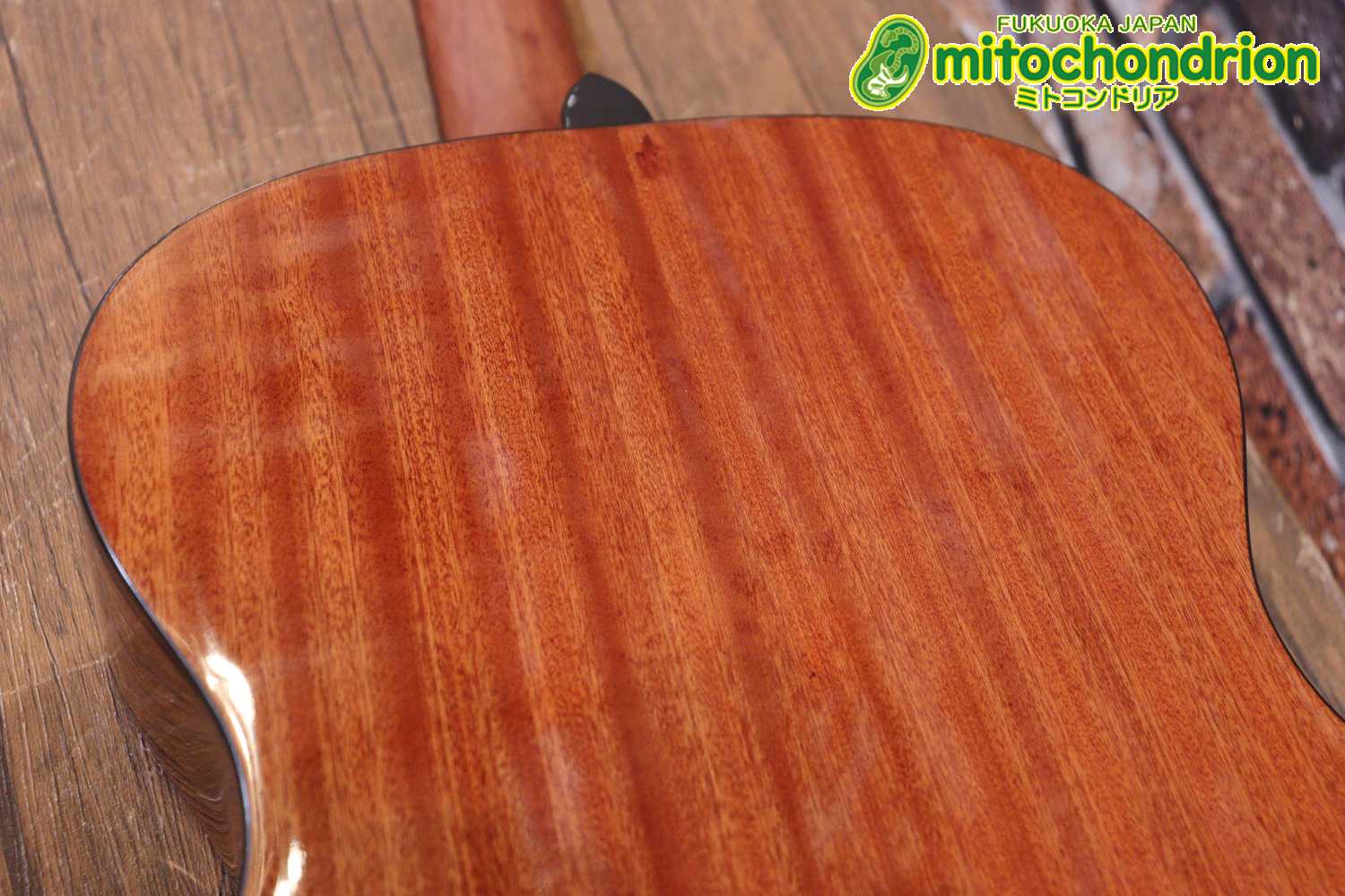 これから始めるプレイヤーにもお勧め！トップ材は単板です。クリップチューナー付き！2