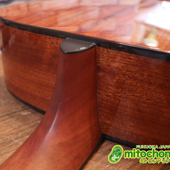 これから始めるプレイヤーにもお勧め！トップ材は単板です。クリップチューナー付き！2