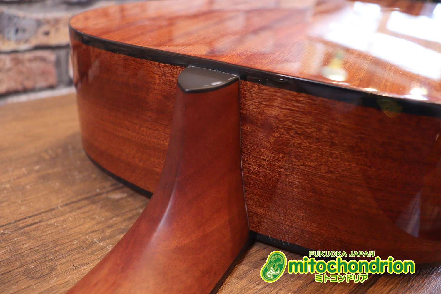 これから始めるプレイヤーにもお勧め！トップ材は単板です。クリップチューナー付き！2