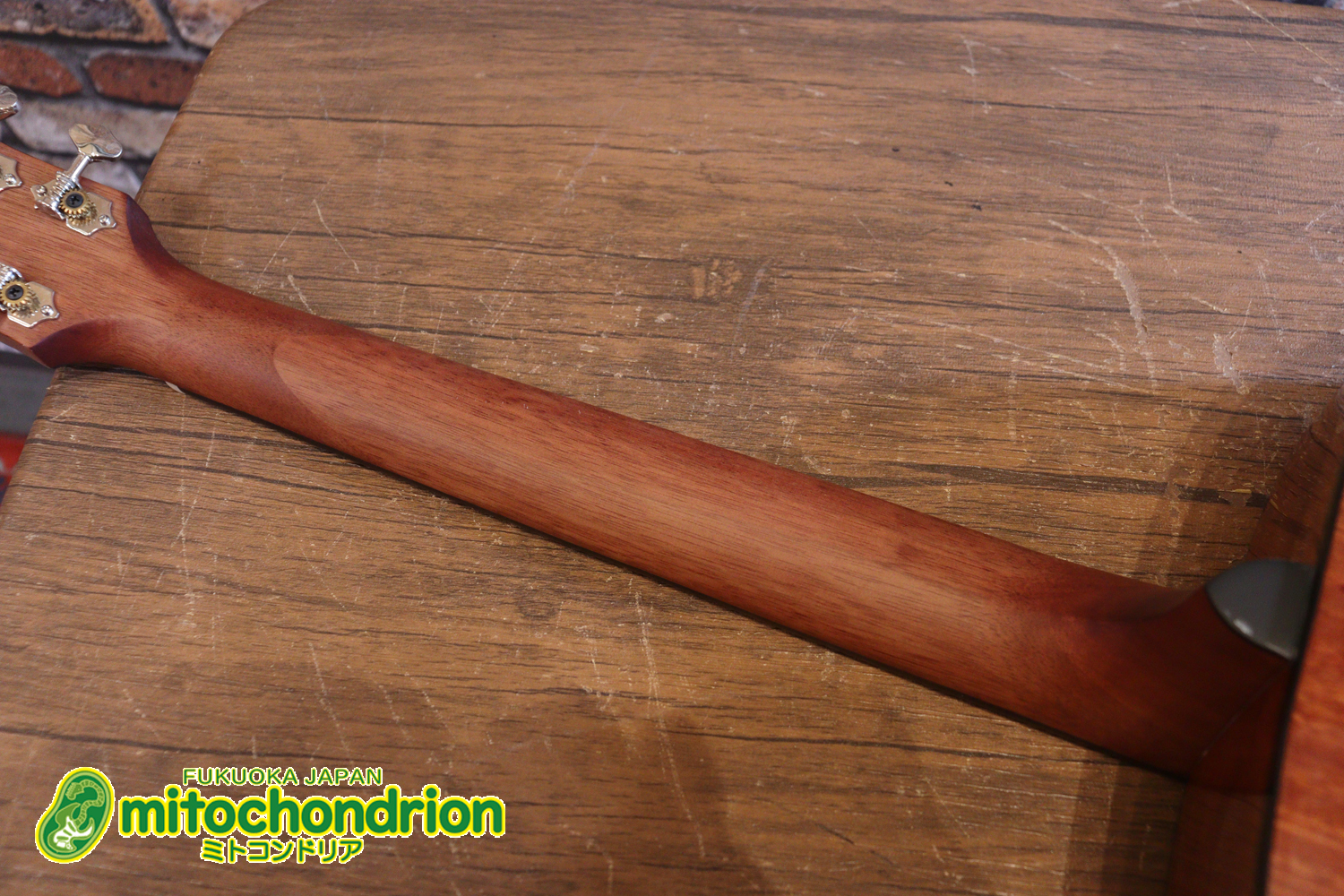 これから始めるプレイヤーにもお勧め！トップ材は単板です。クリップチューナー付き！2