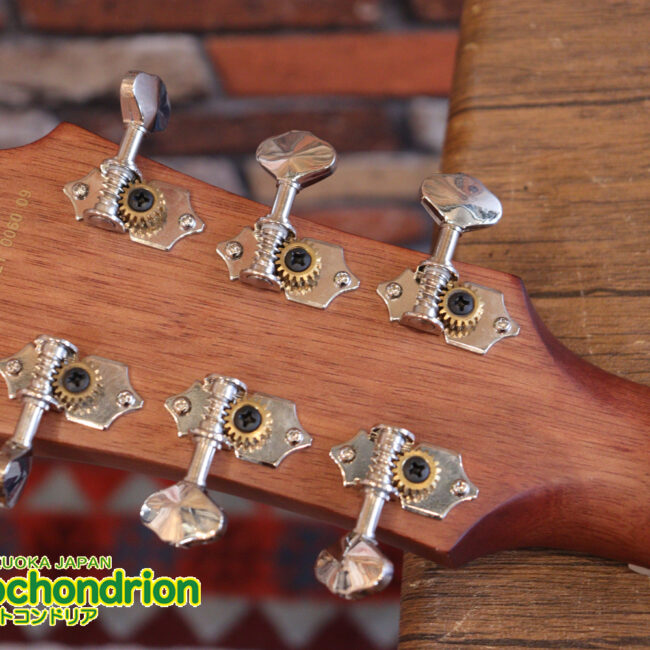 これから始めるプレイヤーにもお勧め！トップ材は単板です。クリップチューナー付き！2