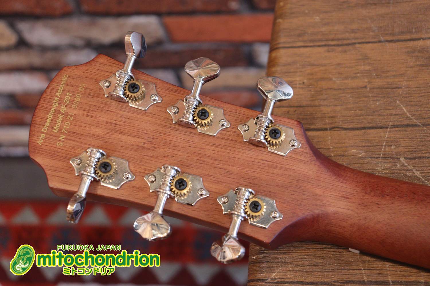 これから始めるプレイヤーにもお勧め！トップ材は単板です。クリップチューナー付き！2