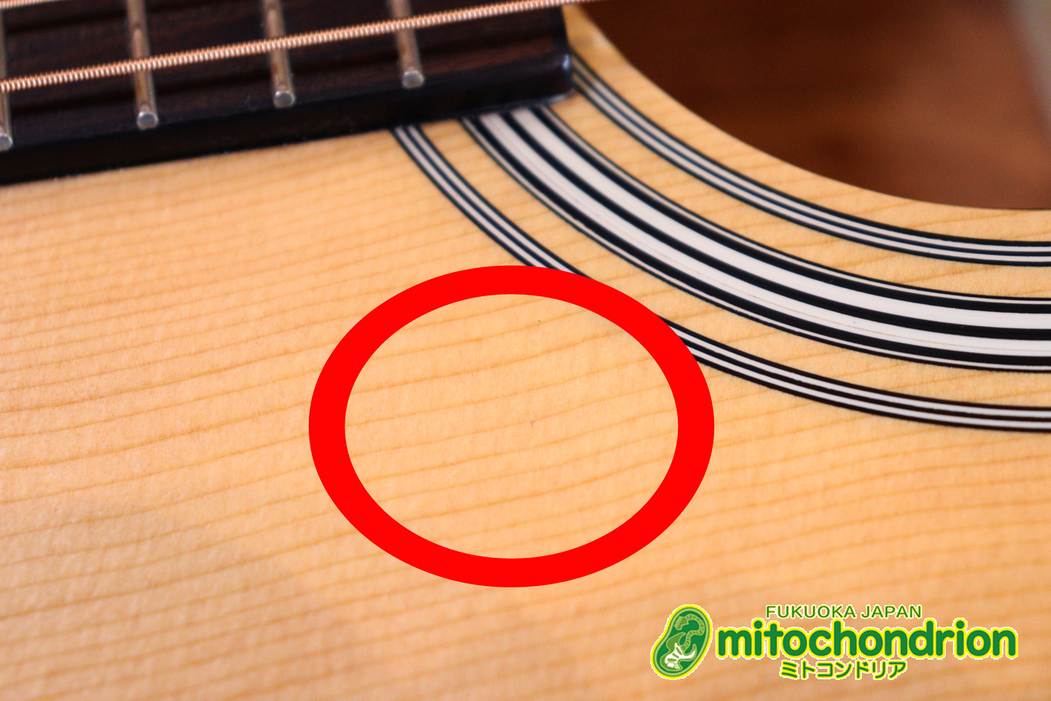 これから始めるプレイヤーにもお勧め！トップ材は単板です。クリップチューナー付き！2