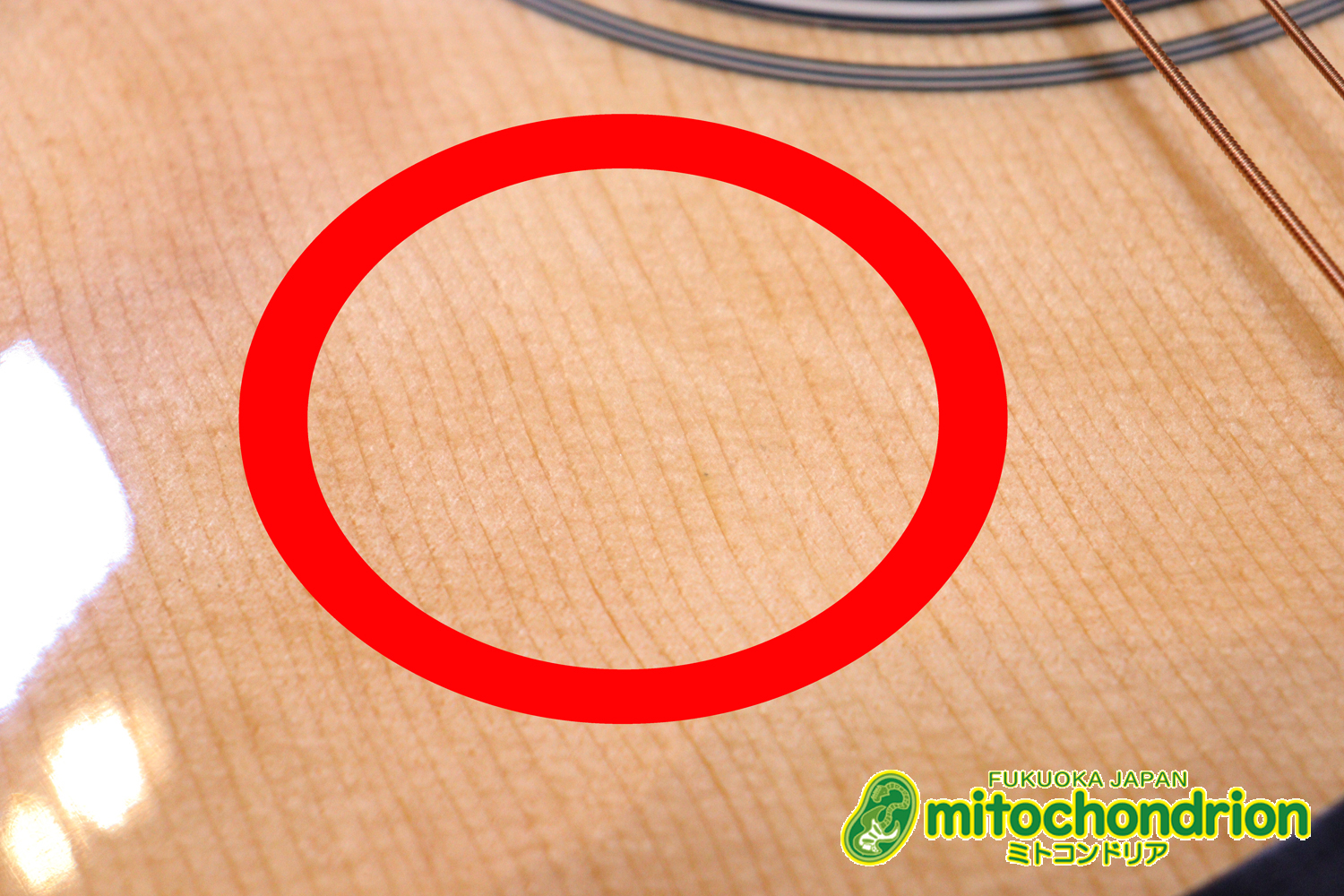 これから始めるプレイヤーにもお勧め！トップ材は単板です。クリップチューナー付き！2