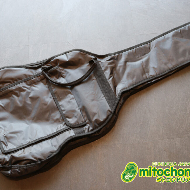 これから始めるプレイヤーにもお勧め！トップ材は単板です。クリップチューナー付き！2