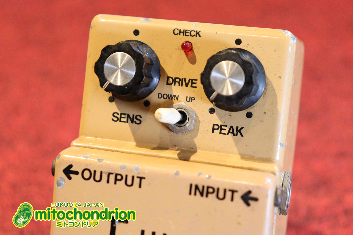 意外と歪と合わせてソロを弾くと気持ち良いオートワウ！