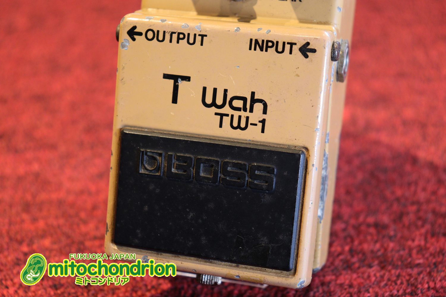 意外と歪と合わせてソロを弾くと気持ち良いオートワウ！