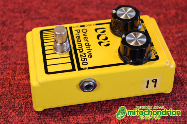 DODの250と言えば！イングヴェイ・マルムスティーン！若い人は知らないかも！