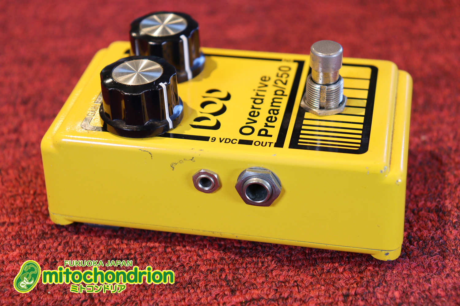 DODの250と言えば！イングヴェイ・マルムスティーン！若い人は知らないかも！