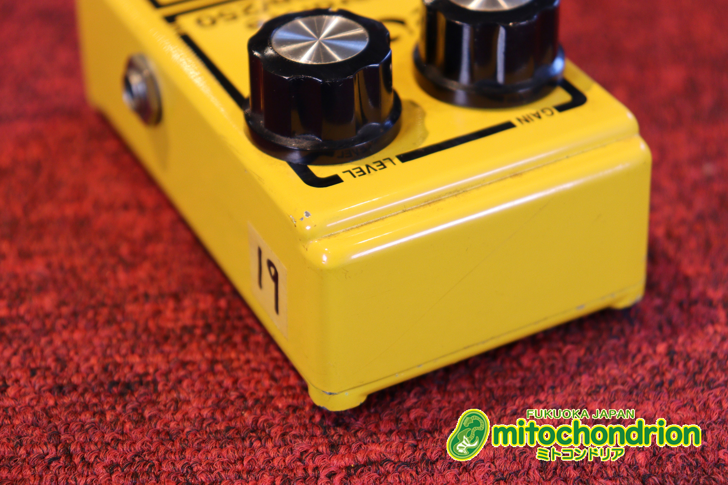 DODの250と言えば！イングヴェイ・マルムスティーン！若い人は知らないかも！