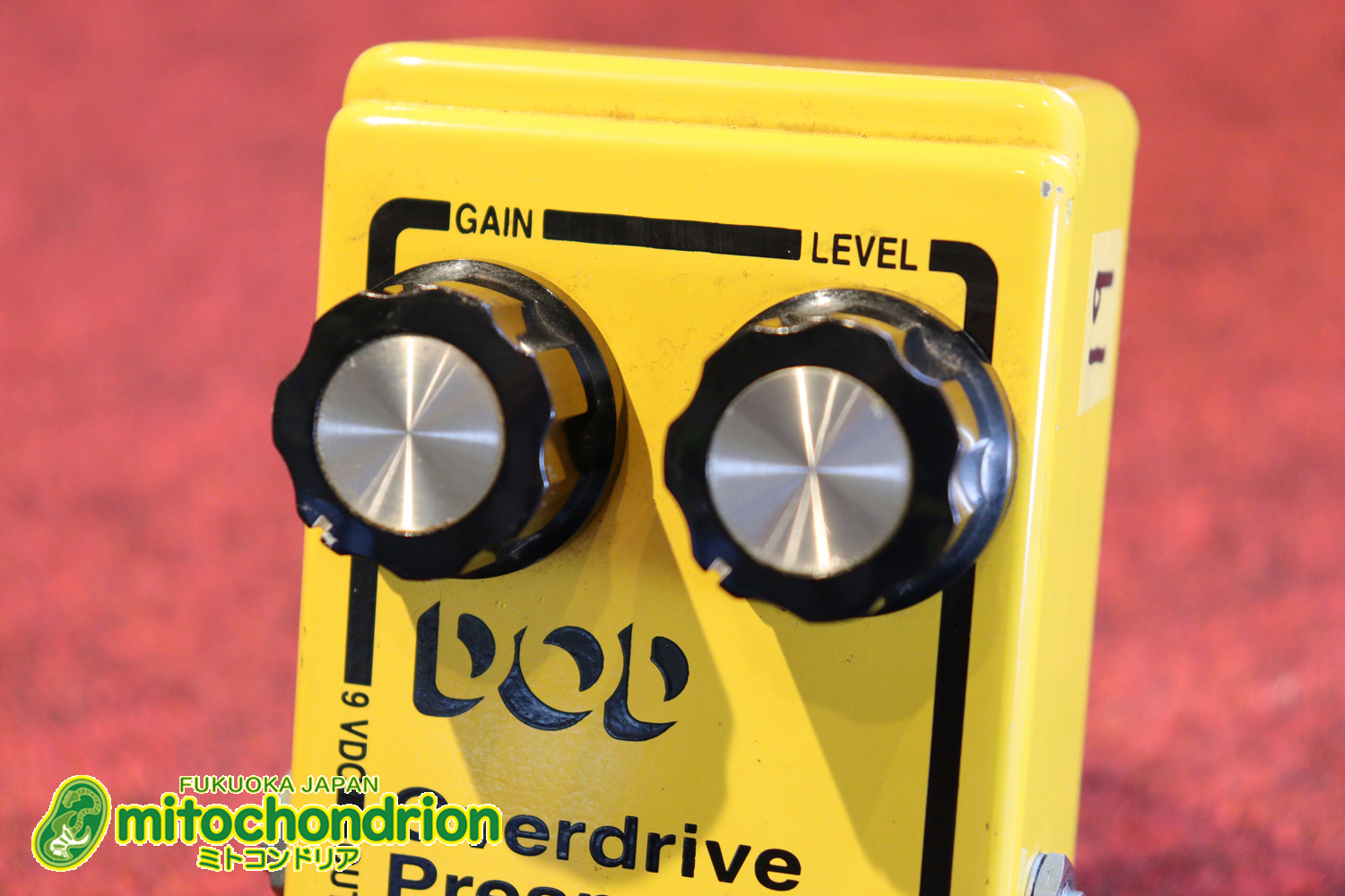 DODの250と言えば！イングヴェイ・マルムスティーン！若い人は知らないかも！