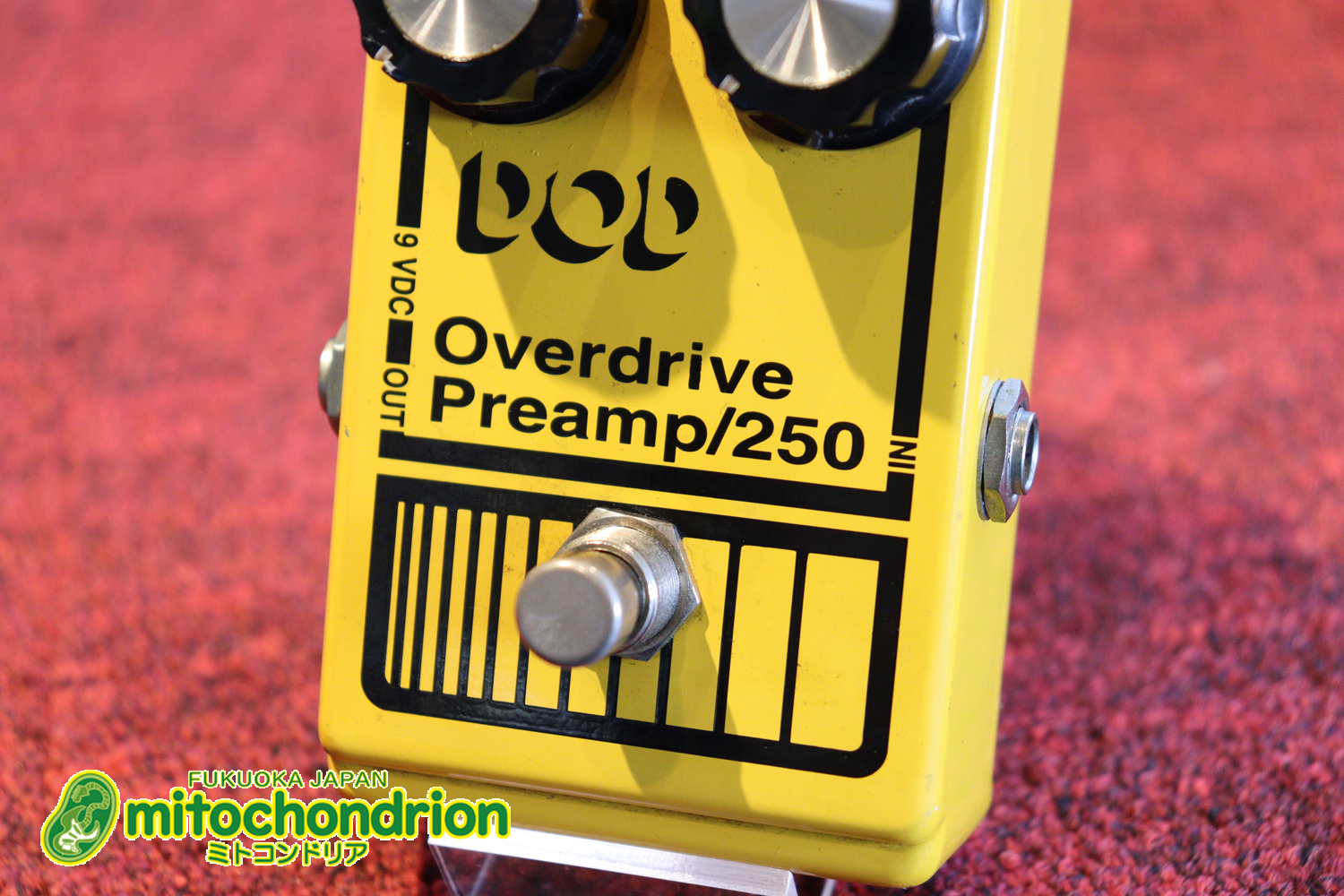 DODの250と言えば！イングヴェイ・マルムスティーン！若い人は知らないかも！