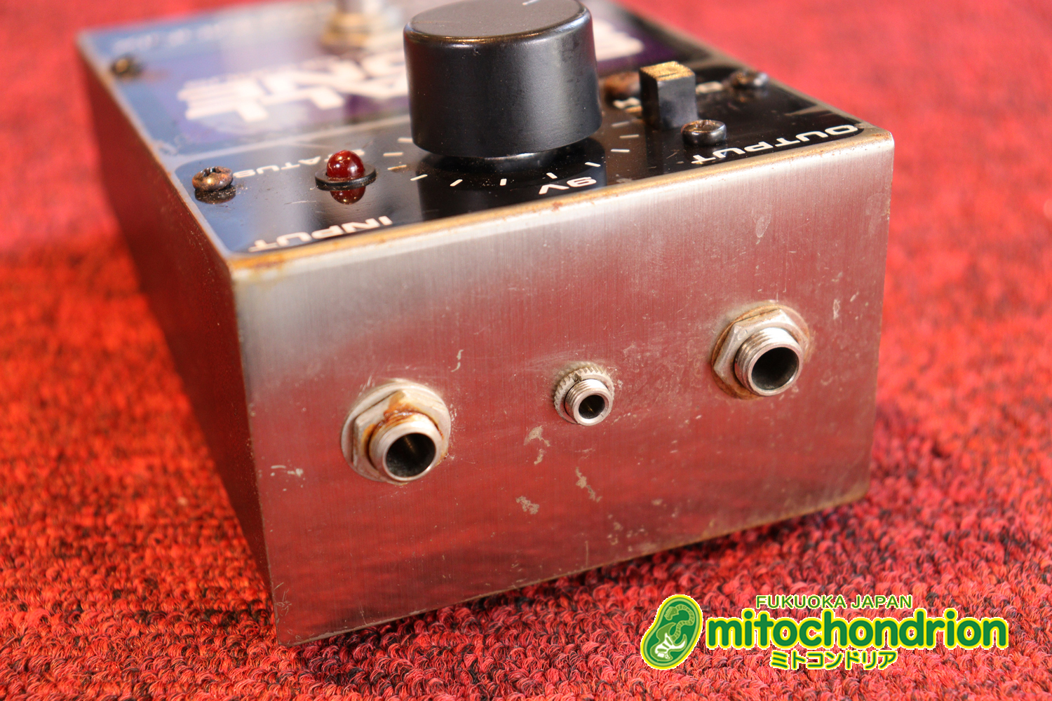 オフィシャル・ホームページで、カートコバーンで広まったと認めているアナログコーラス！