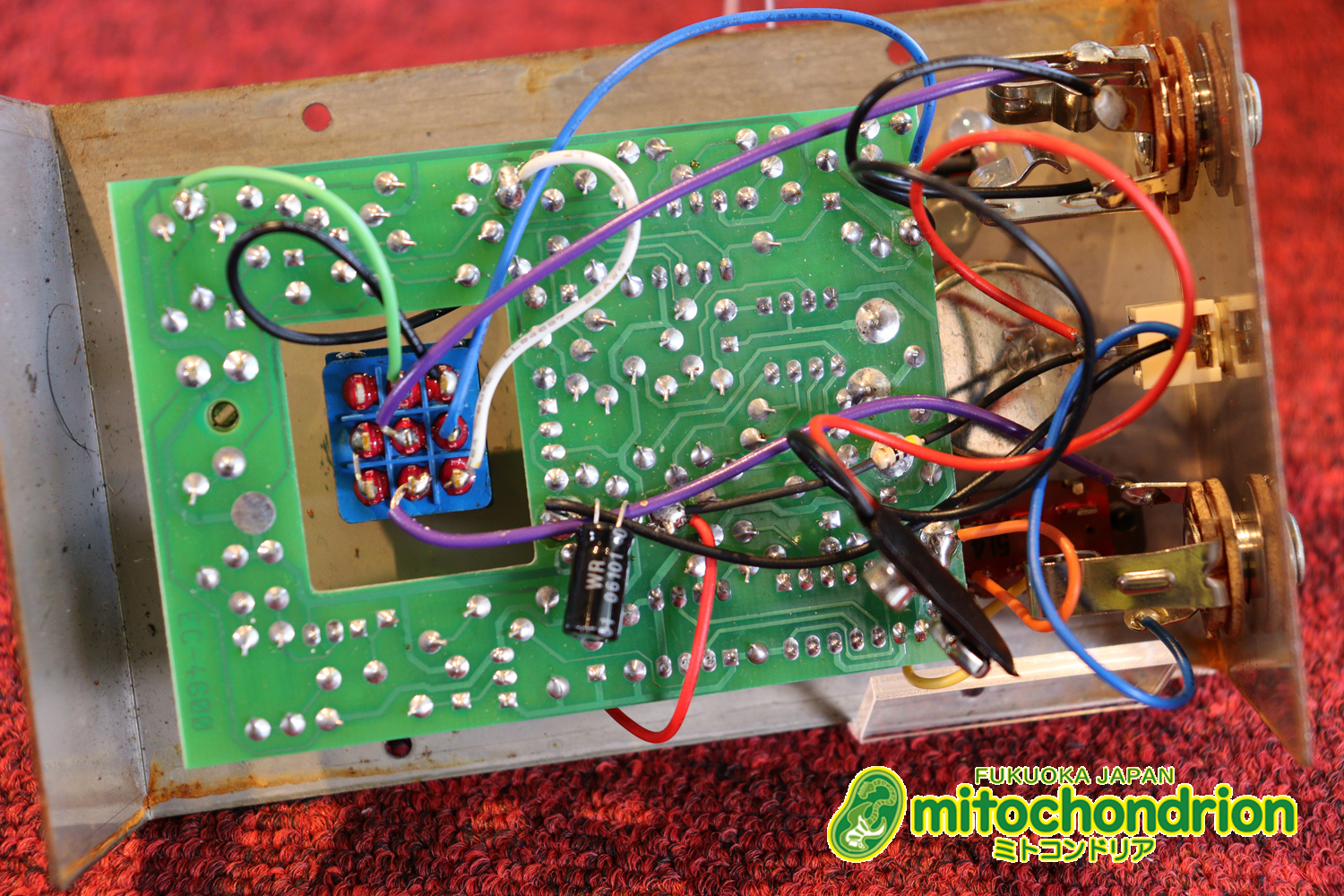 オフィシャル・ホームページで、カートコバーンで広まったと認めているアナログコーラス！