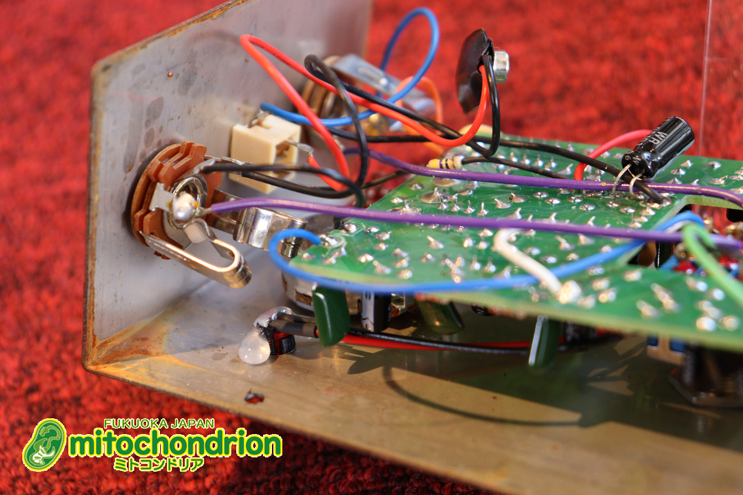 オフィシャル・ホームページで、カートコバーンで広まったと認めているアナログコーラス！